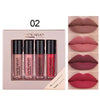 HANDAIYAN 4-teiliges Lipgloss-Set